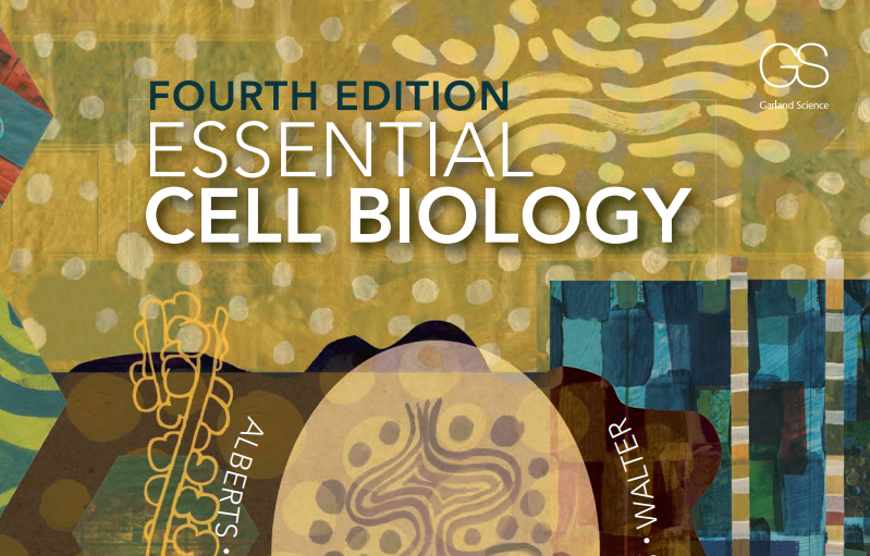 essential biology textbook pdf